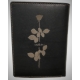 Leather Wallet Violator Depeche Mode